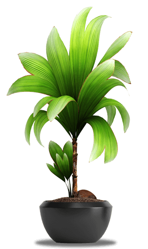 Plant Img