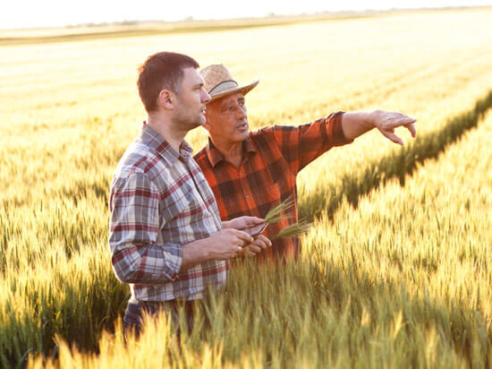 Farmer Discuss about Land Titles