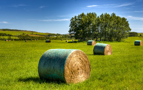 Farm Land Titles